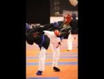 World Kempo Championships, Budapest-Hungary, 2014