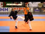 World Kempo Championships, Budapest-Hungary, 2014