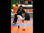 World Kempo Championships, Budapest-Hungary, 2014