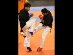 World Kempo Championships, Budapest-Hungary, 2014