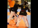 World Kempo Championships, Budapest-Hungary, 2014