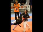 World Kempo Championships, Budapest-Hungary, 2014