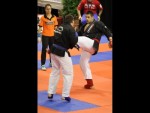 World Kempo Championships, Budapest-Hungary, 2014