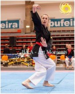 The 14th IKF World Kempo Championships, Portugal, 2017