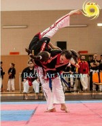 The 14th IKF World Kempo Championships, Portugal, 2017