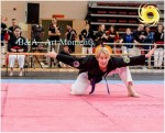 The 14th IKF World Kempo Championships, Portugal, 2017