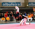 The 14th IKF World Kempo Championships, Portugal, 2017