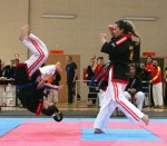 The 14th IKF World Kempo Championships, Portugal, 2017