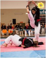 The 14th IKF World Kempo Championships, Portugal, 2017