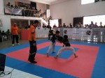 Kempo Tunisia - Referee Course and Championships, 2017