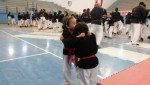 North-Africa Kempo Seminar, 2017