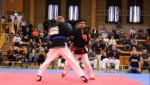 NORDIC OPEN KEMPO CHAMPIONSHIP, Sweden, 2017
