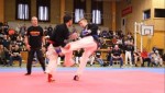 NORDIC OPEN KEMPO CHAMPIONSHIP, Sweden, 2017
