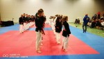 NORDIC OPEN KEMPO CHAMPIONSHIP, Sweden, 2017