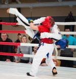 World Kempo Ukado Kids Championships, St.Petersburg, Russia, 2017