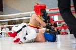 World Kempo Ukado Kids Championships, St.Petersburg, Russia, 2017