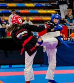 The 16th IKF World Kempo Championships 2019 (Full-Kempo)