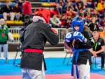 The 16th IKF World Kempo Championships 2019 (Full-Kempo)
