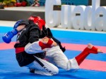 The 16th IKF World Kempo Championships 2019 (Full-Kempo)