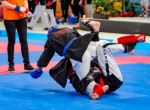 The 16th IKF World Kempo Championships 2019 (Full-Kempo)