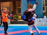 The 16th IKF World Kempo Championships 2019 (Full-Kempo)