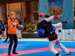 The 16th IKF World Kempo Championships 2019 (Full-Kempo)