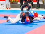 The 16th IKF World Kempo Championships 2019 (Full-Kempo)