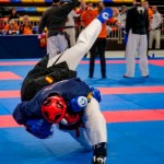 The 16th IKF World Kempo Championships 2019 (Full-Kempo)