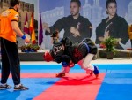 The 16th IKF World Kempo Championships 2019 (Full-Kempo)