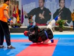 The 16th IKF World Kempo Championships 2019 (Full-Kempo)