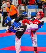 The 16th IKF World Kempo Championships 2019 (Semi-Kempo)