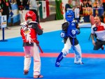 The 16th IKF World Kempo Championships 2019 (Semi-Kempo)