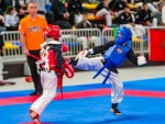 The 16th IKF World Kempo Championships 2019 (Semi-Kempo)