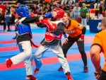 The 16th IKF World Kempo Championships 2019 (Semi-Kempo)