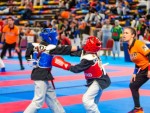 The 16th IKF World Kempo Championships 2019 (Semi-Kempo)