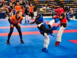 The 16th IKF World Kempo Championships 2019 (Semi-Kempo)