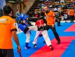 The 16th IKF World Kempo Championships 2019 (Semi-Kempo)