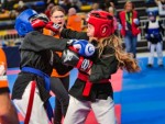The 16th IKF World Kempo Championships 2019 (Semi-Kempo)