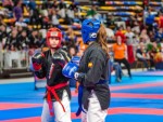 The 16th IKF World Kempo Championships 2019 (Semi-Kempo)