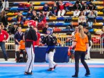 The 16th IKF World Kempo Championships 2019 (Semi-Kempo)
