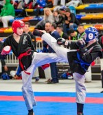 The 16th IKF World Kempo Championships 2019 (Semi-Kempo)