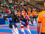 The 16th IKF World Kempo Championships 2019 (Semi-Kempo)