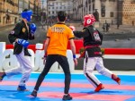 The 16th IKF World Kempo Championships 2019 (Semi-Kempo)
