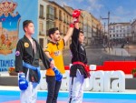 The 16th IKF World Kempo Championships 2019 (Semi-Kempo)