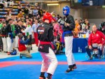 The 16th IKF World Kempo Championships 2019 (Semi-Kempo)