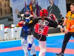 The 16th IKF World Kempo Championships 2019 (Semi-Kempo)