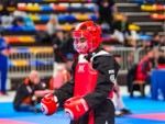 The 16th IKF World Kempo Championships 2019 (Semi-Kempo)