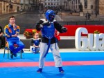 The 16th IKF World Kempo Championships 2019 (Semi-Kempo)