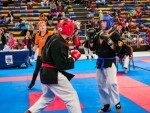 The 16th IKF World Kempo Championships 2019 (Semi-Kempo)