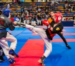 The 16th IKF World Kempo Championships 2019 (Semi-Kempo)
